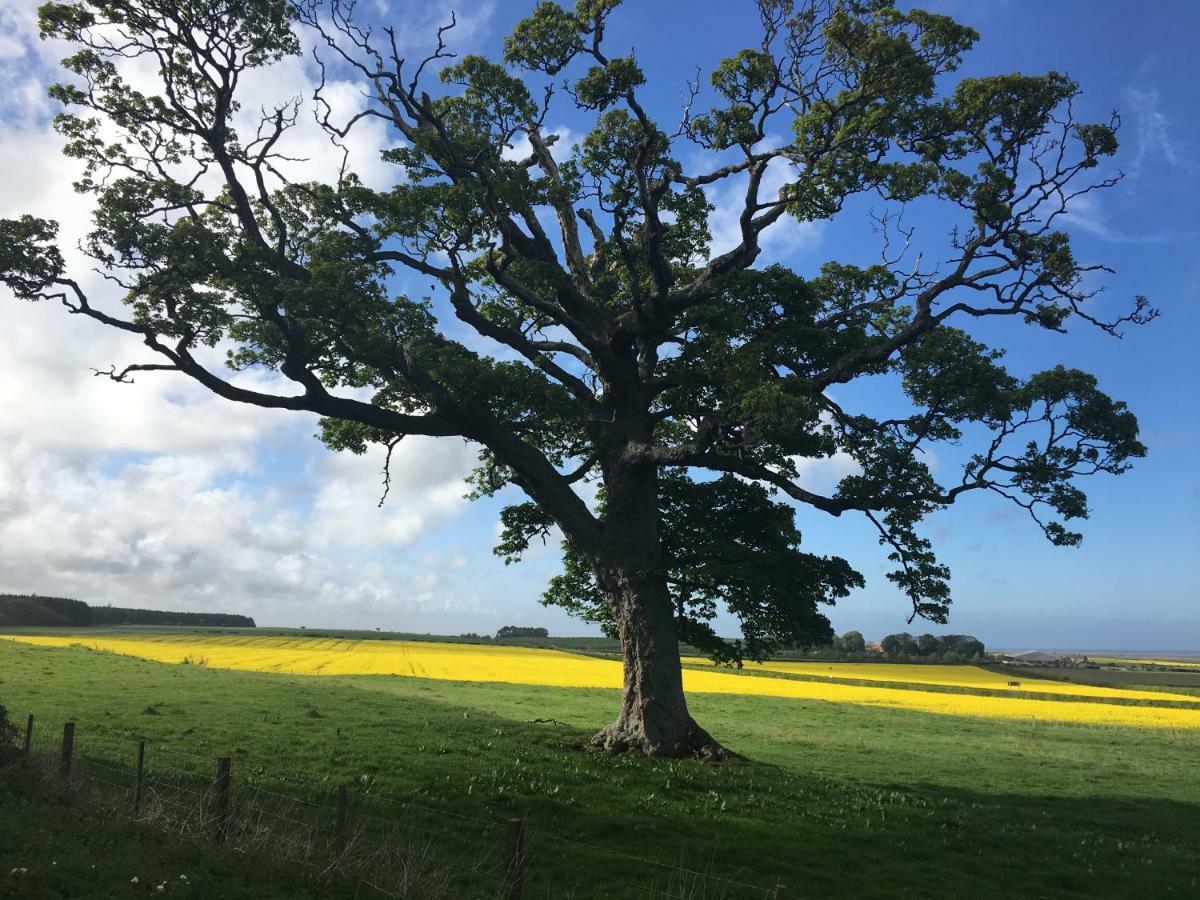Buckton Farmhouse Belford Buitenkant foto